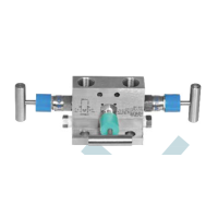 Маніфольд 3-х вентильний прямого кріплення 1/2"NPT (F) 